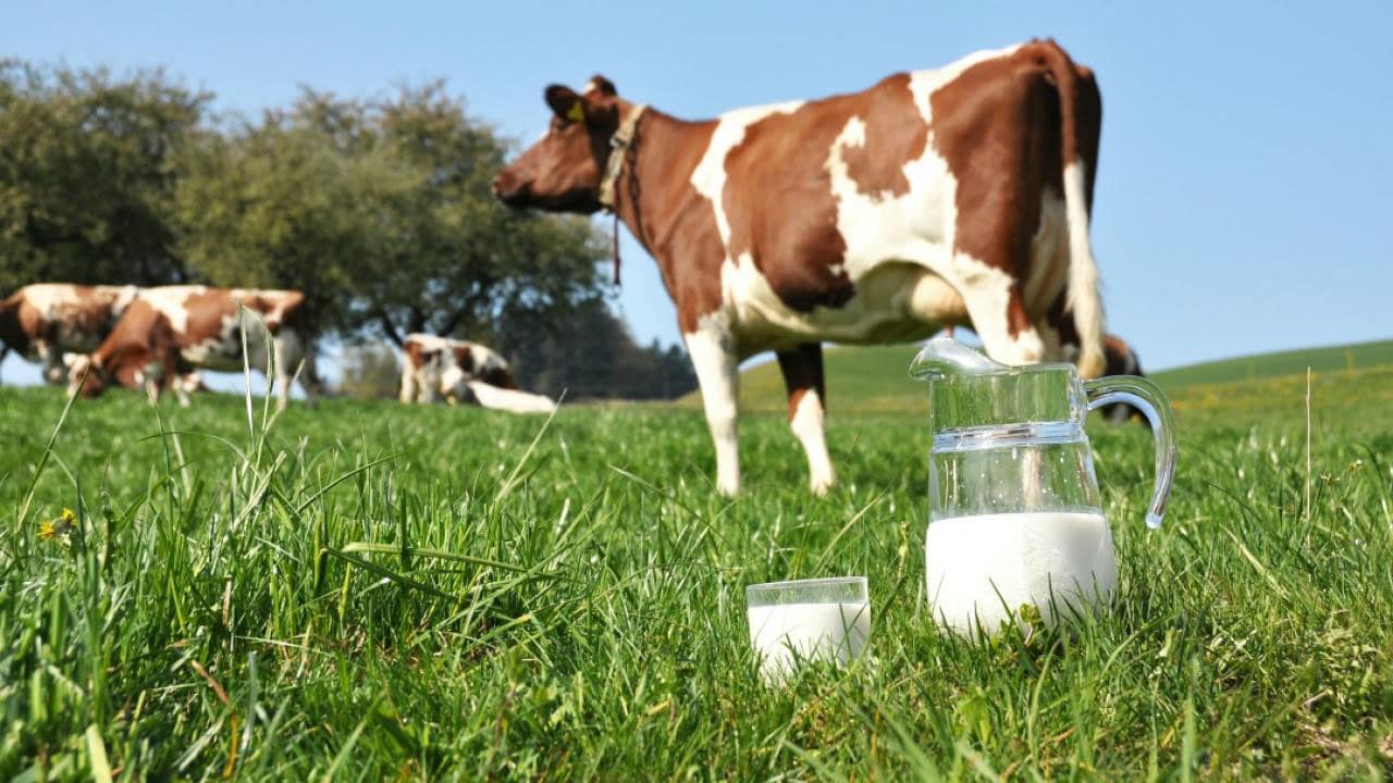 The Amazing Benefits Of Raw Milk - Asa Andrew